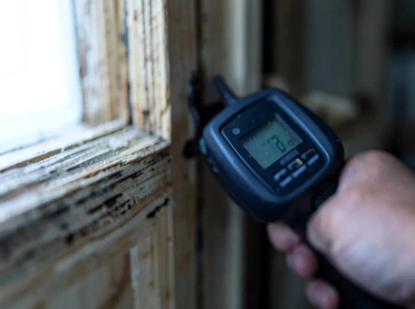 Moisture Inspection And Documentation in Conesus, NY